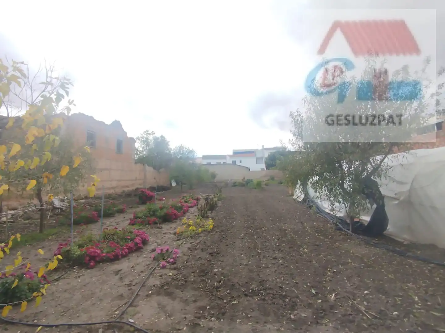 Terrenos y solares en venta en Quintanar de la Orden, imagen 3