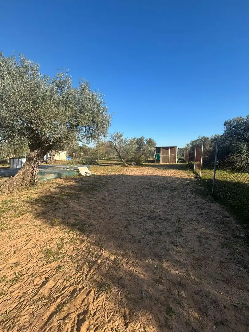 Casa o chalet en venta en Arahal