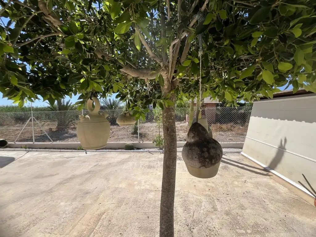 Casa amb piscina en venda a Fortuna, imagen 44