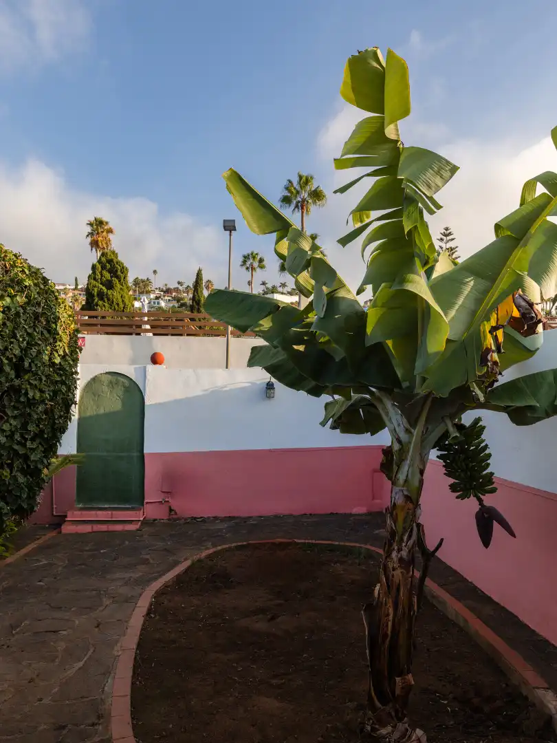 Casa amb piscina en venda a El Sauzal, imagen 25