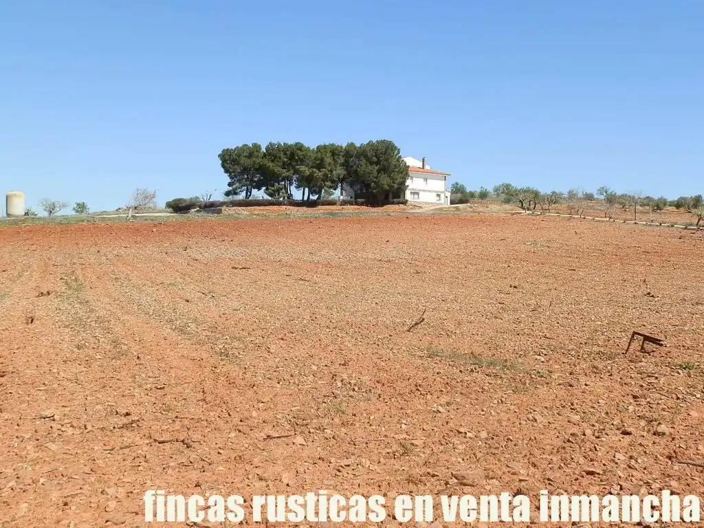 Rural land for sale in Valdepeñas, imagen 29