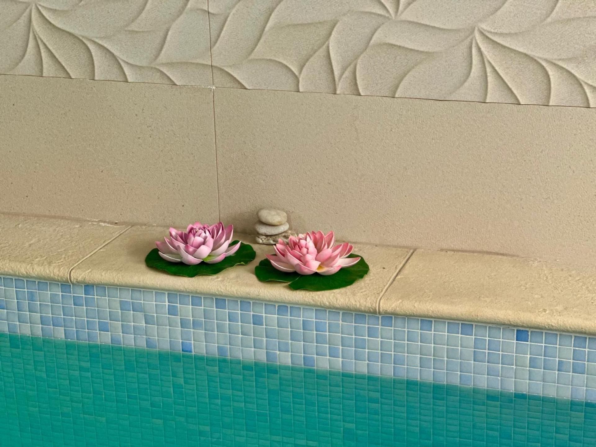 Swimming pool of House or chalet for sale in Viladecans