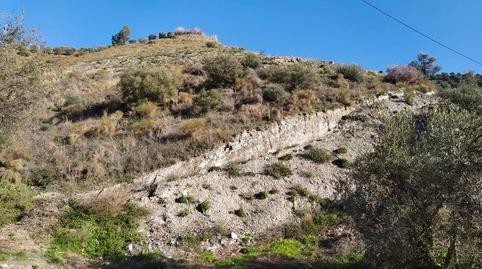 Foto 2 de Terreno en venta en N/a, -1, Maro - Cuevas de Nerja, Nerja
