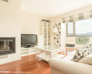 Living room of Apartment for sale in Sabiñánigo