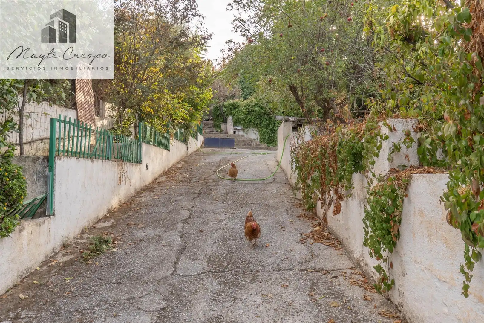 Vista exterior de Casa o xalet en venda en La Zubia amb Calefacció, Jardí privat i Terrassa