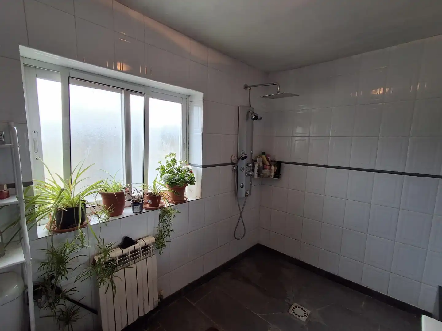 Baño de Casa o chalet en venta en Riba-roja d'Ebre