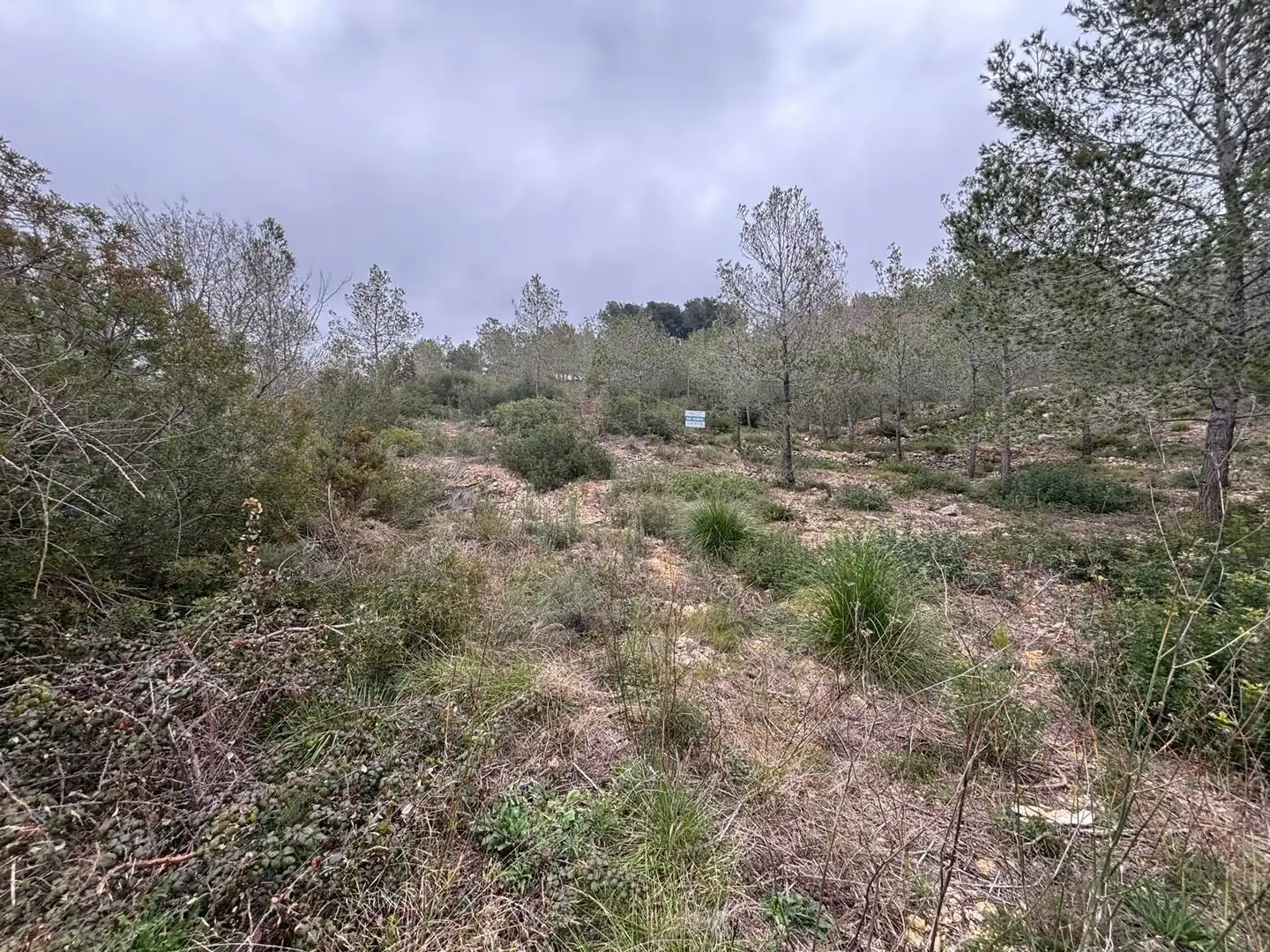 Terreny residencial en venda a Olivella, imagen 26