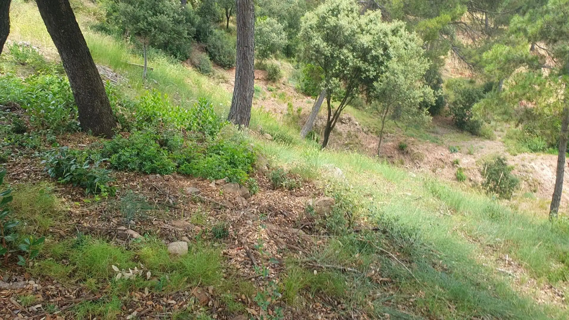 Residential for sale in Castellnou de Bages