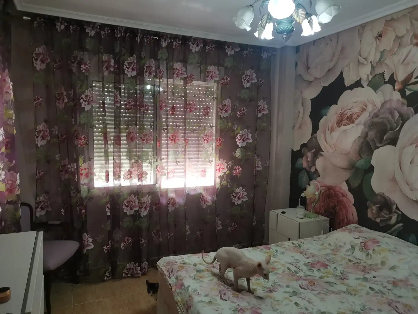 Habitación de Piso en venta en Bigastro con Aire acondicionado, Trastero y Amueblado