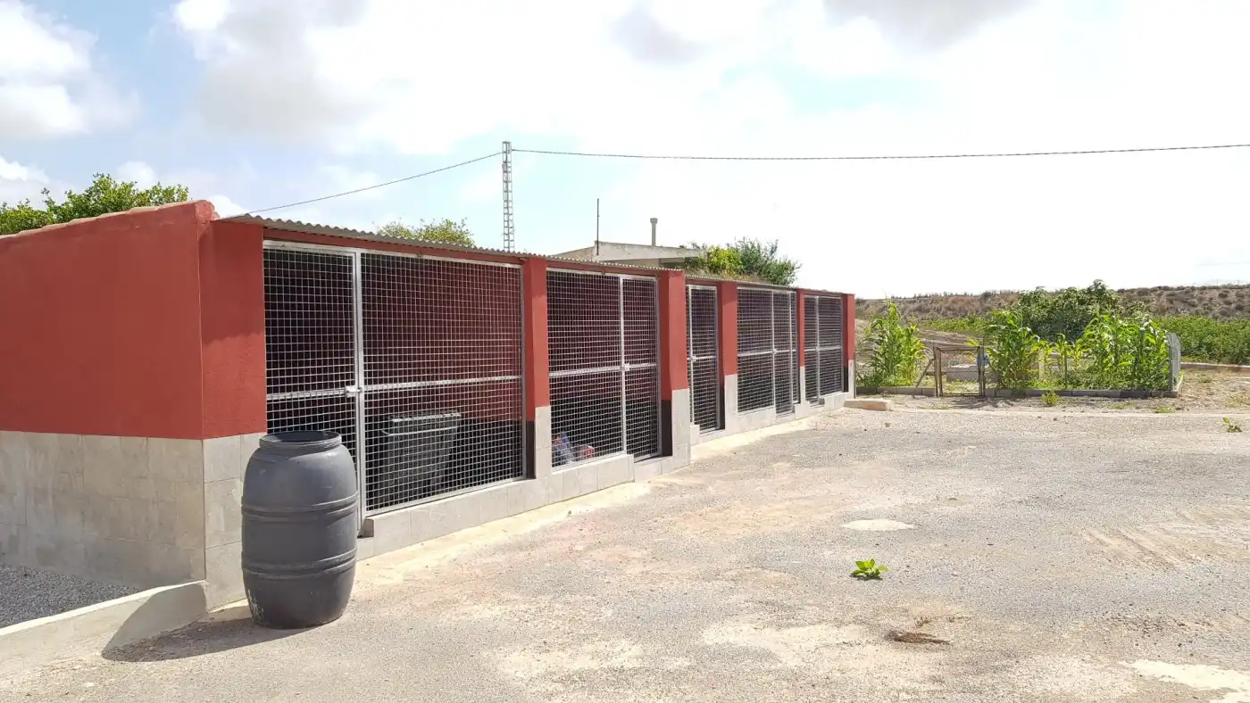 Country house for sale in Los Montesinos, imagen 12
