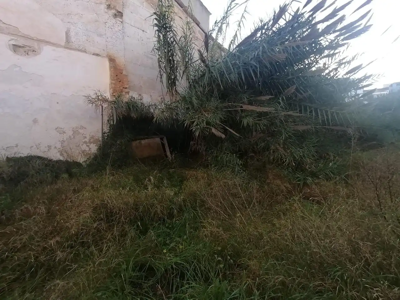 Terreny residencial en venda a Carrer de sa Gerreria, imagen 8