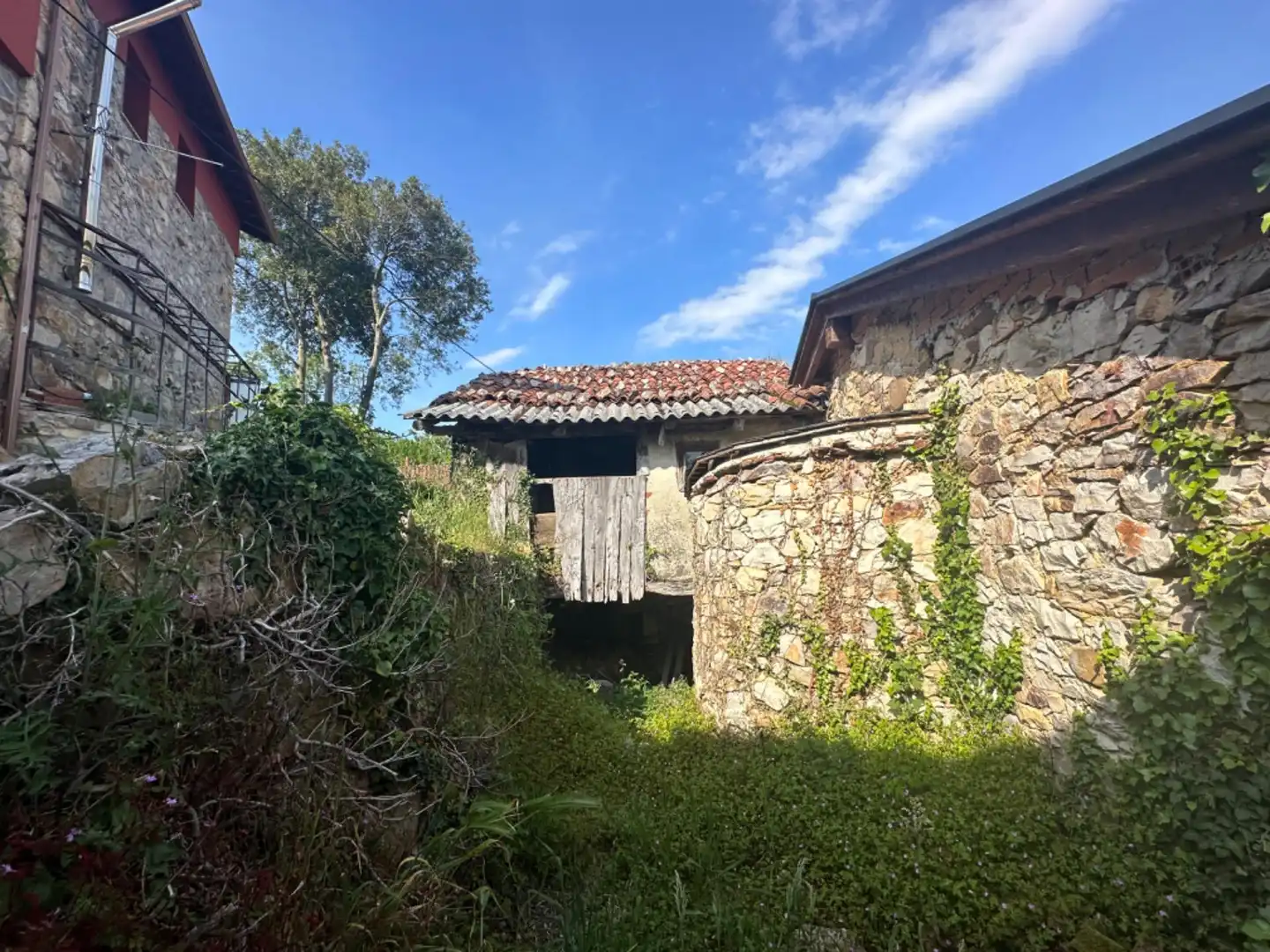 Vista exterior de Casa o xalet en venda en Salas amb Jardí privat