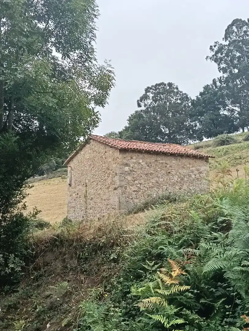 Vista exterior de Casa o xalet en venda en Puente Viesgo