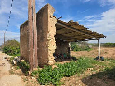 Terrain rustique à vendre à Eucaliptus- Poble Nou del Delta