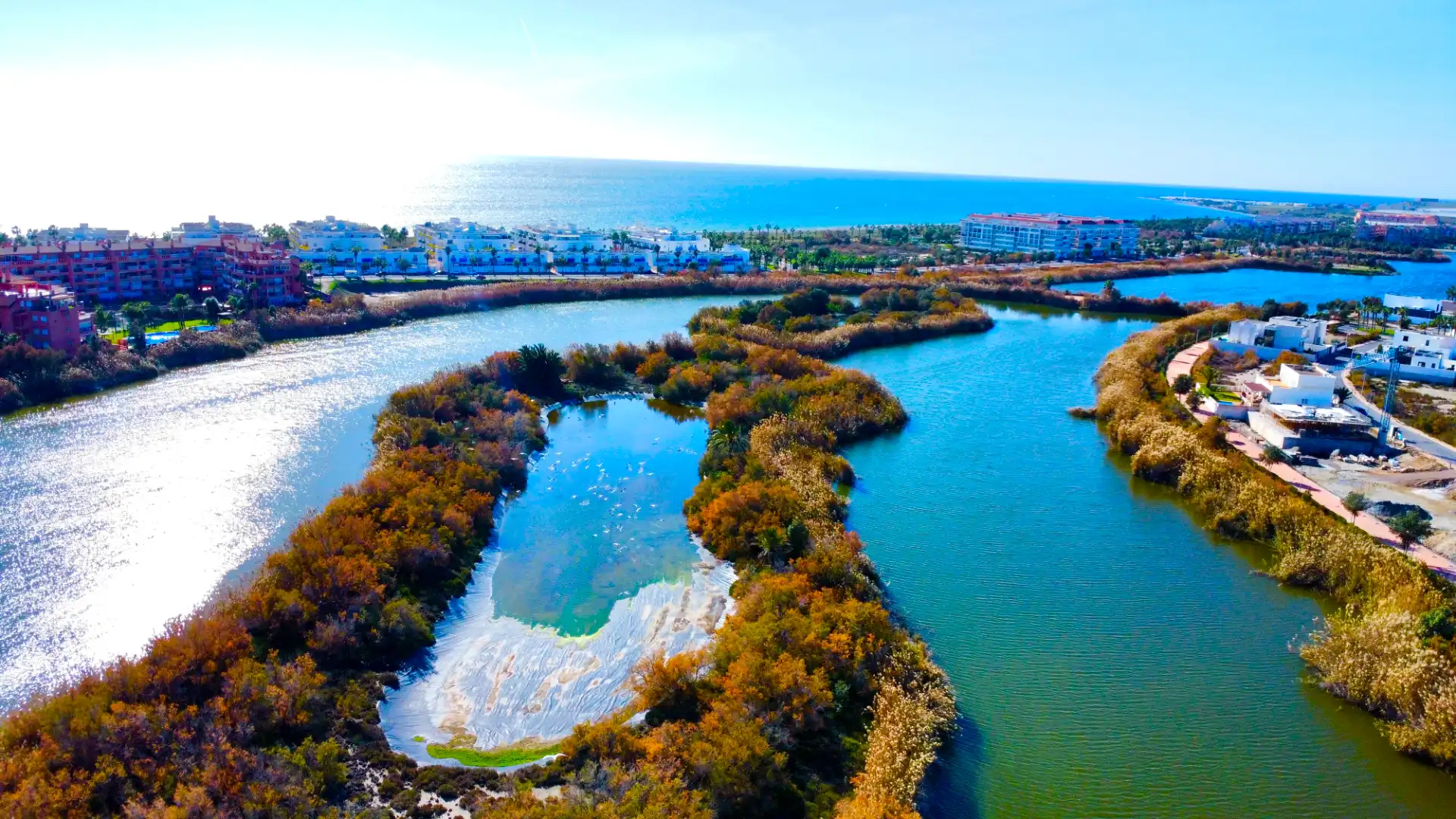 Terrenos y solares en venta en Calle Cerceta, imagen 22