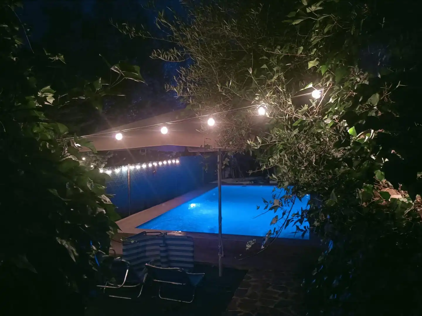 Piscina de Casa o xalet en venda en Piedrabuena amb Aire condicionat, Calefacció i Jardí privat