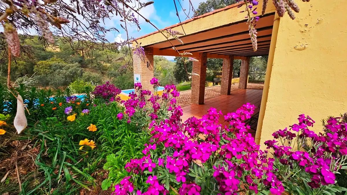 Jardín de Finca rústica en venta en Cortegana con Jardín privado, Terraza y Piscina