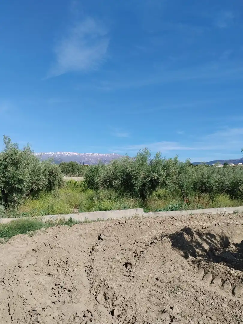 Terreni e lotti in vendita a Villa de Otura, imagen 6