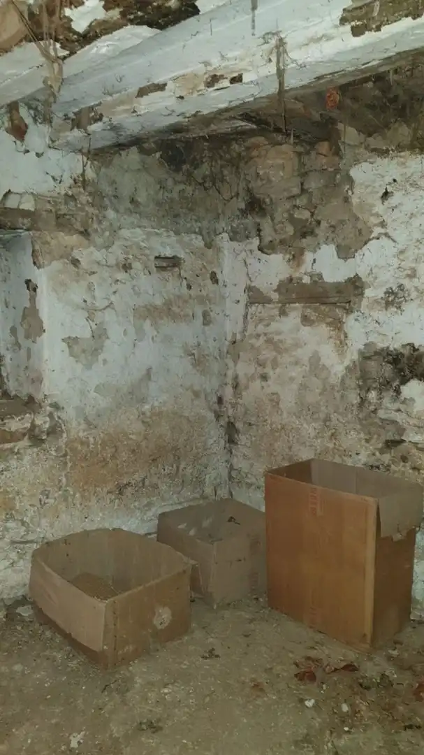 Finca rústica en venda en La Iglesuela del Cid amb Terrassa i Traster