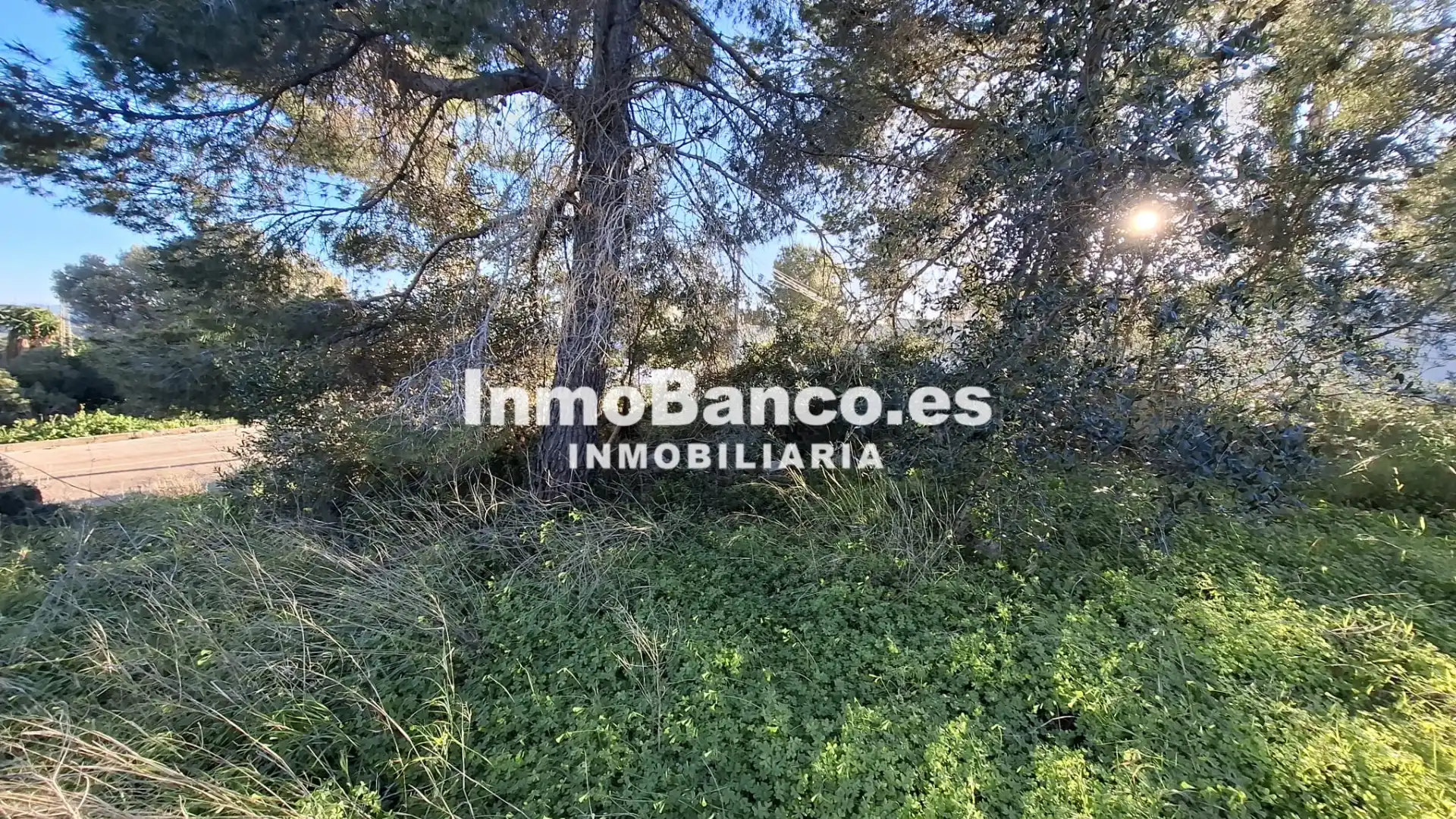 Residential land for sale in Calle Felipe II 50, imagen 3