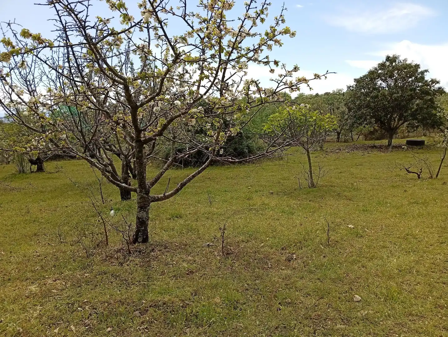 Terreni e lotti in vendita a Villanueva de la Vera, imagen 31