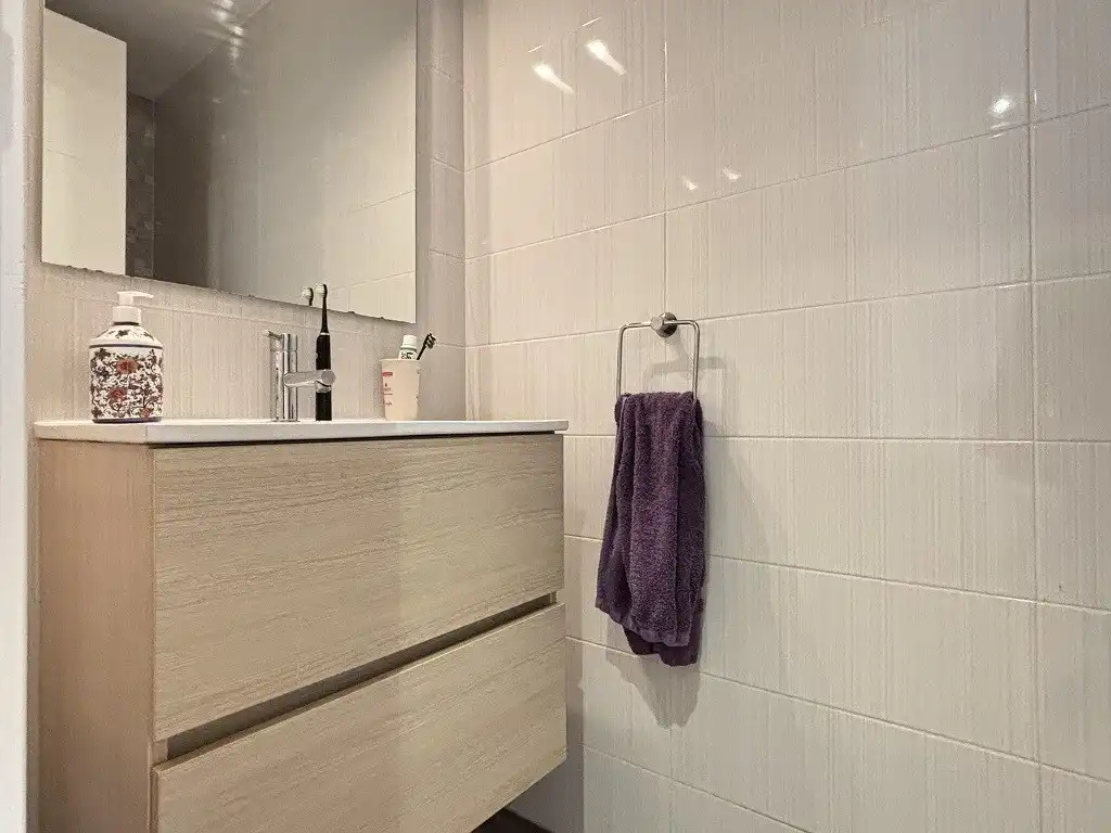 Detached homes for sale in Olot