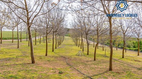 Finca rústica en venta con casa, nave y piscina, immagine 2