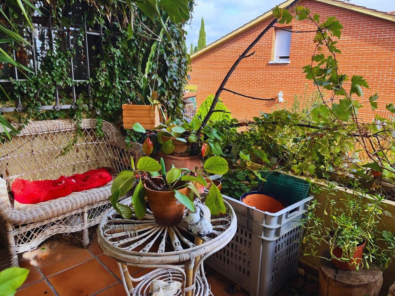 House or chalet for sale in Cuatro Vientos, Torrelaguna