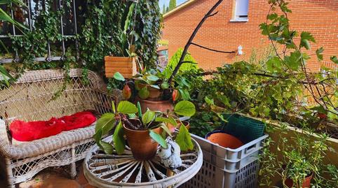 Photo 2 of House or chalet for sale in Cuatro Vientos, Torrelaguna, Madrid