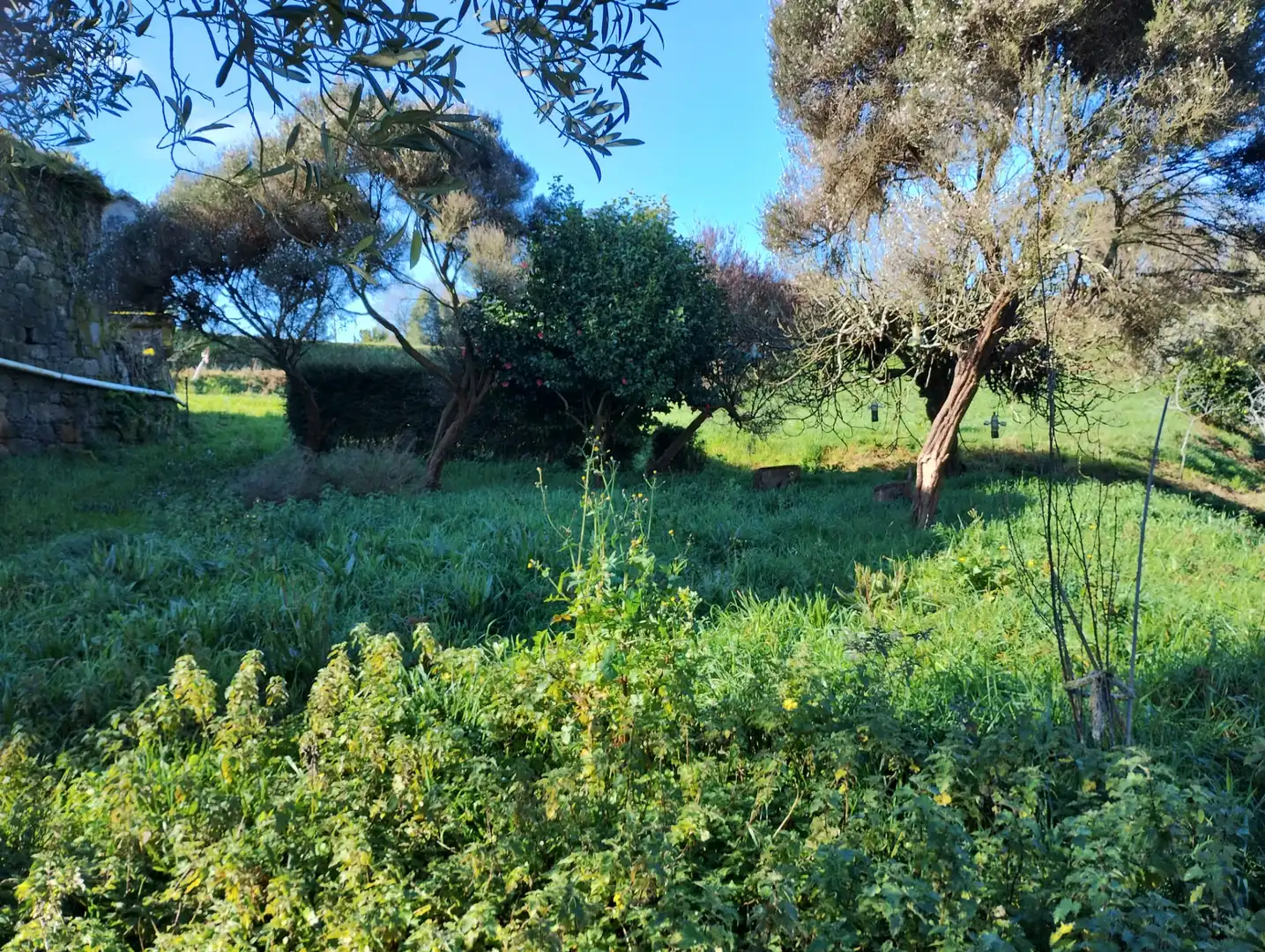 Maison avec jardin à vendre à Vilarmaior, imagen 11
