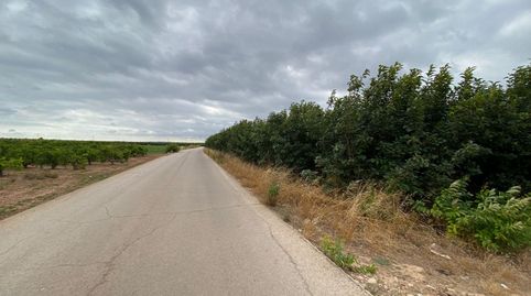 Foto 2 de Terreno en venta en Camino Albalat, Carlet, Valencia
