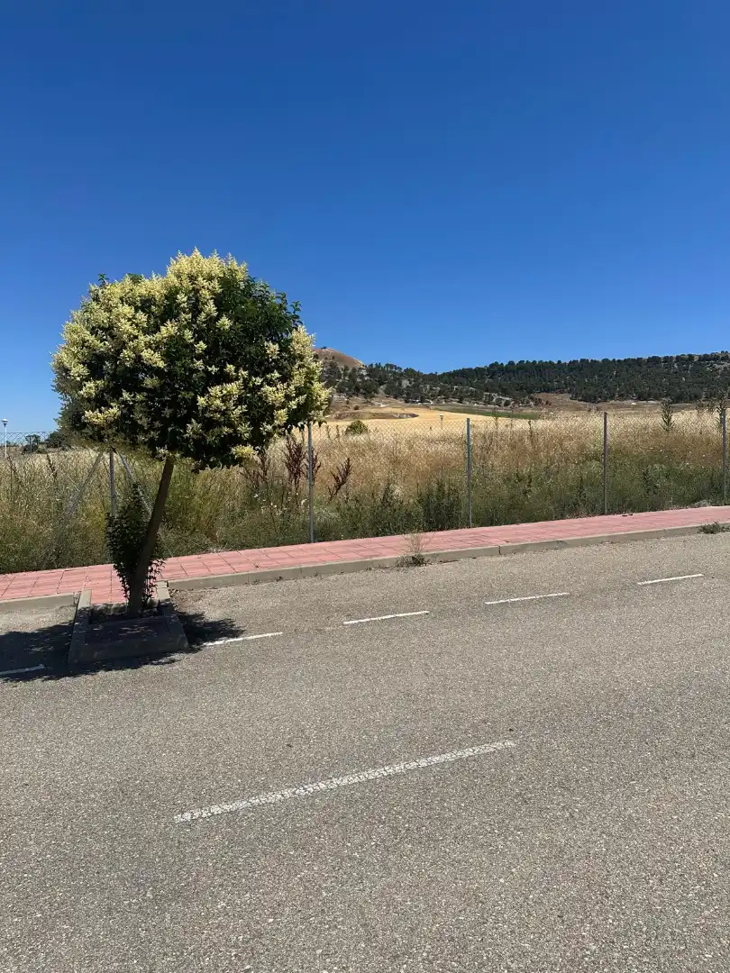 Residencial en venta en Cabezón de Pisuerga