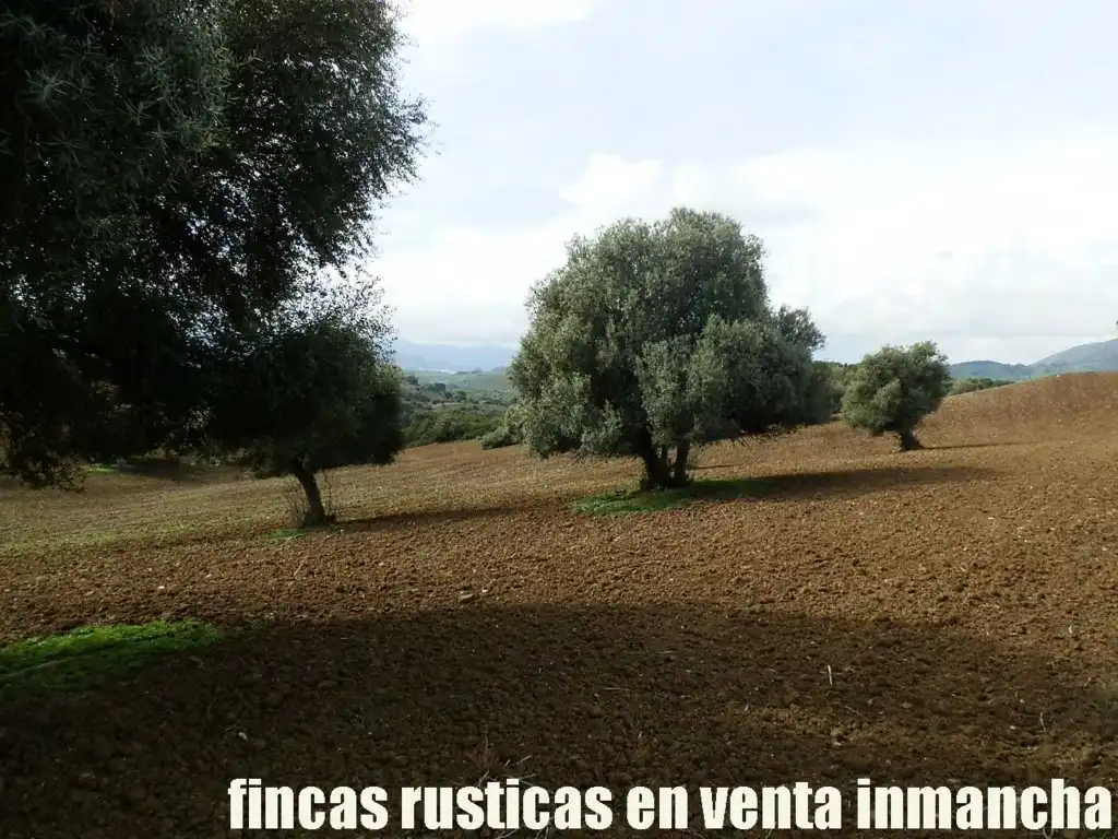 Terreno rustico in vendita a Algodonales, imagen 15