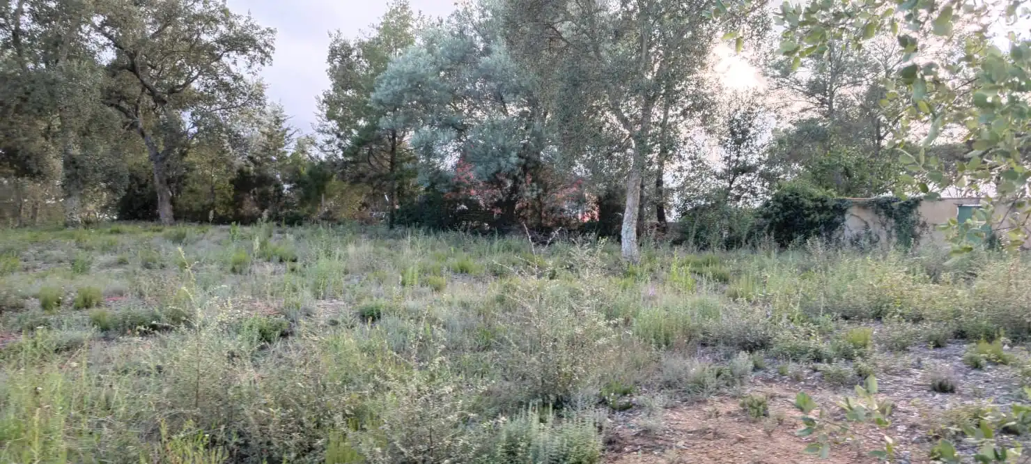Wohnbaugrundstück zum Verkauf in Carrer del Baix Llobregat 805, imagen 3