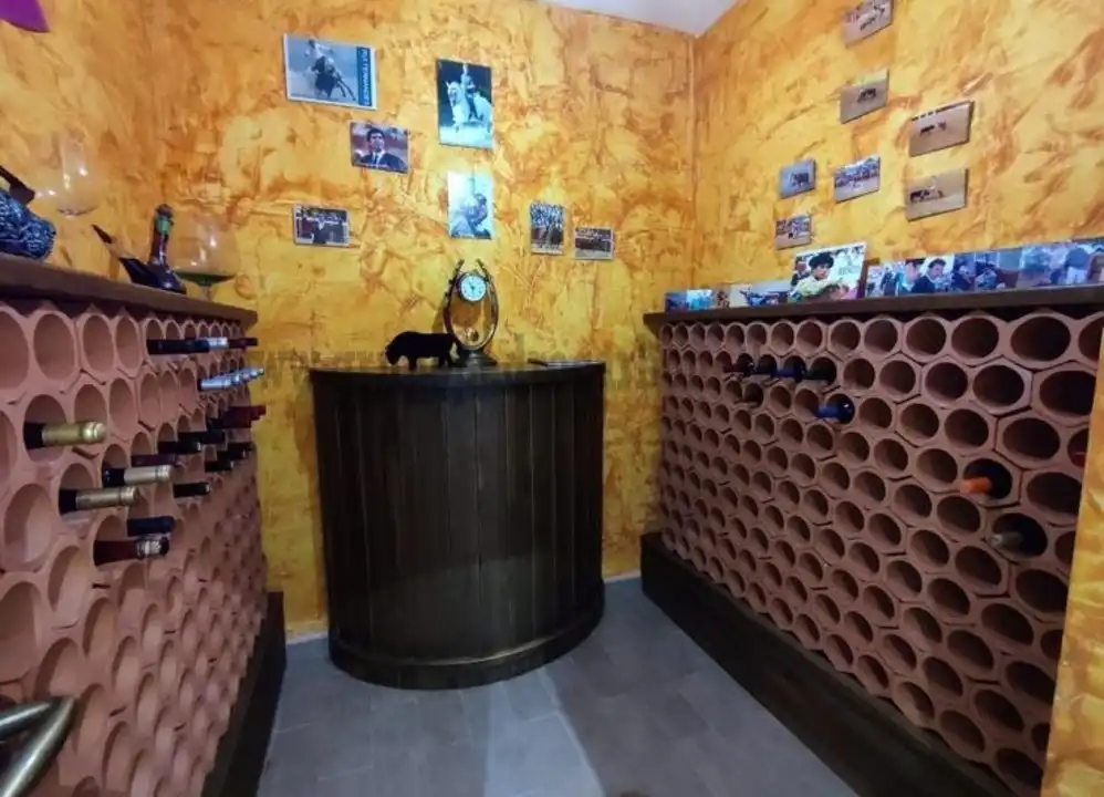 Casa o chalet en venta en Aspe con Aire acondicionado, Jardín privado y Piscina