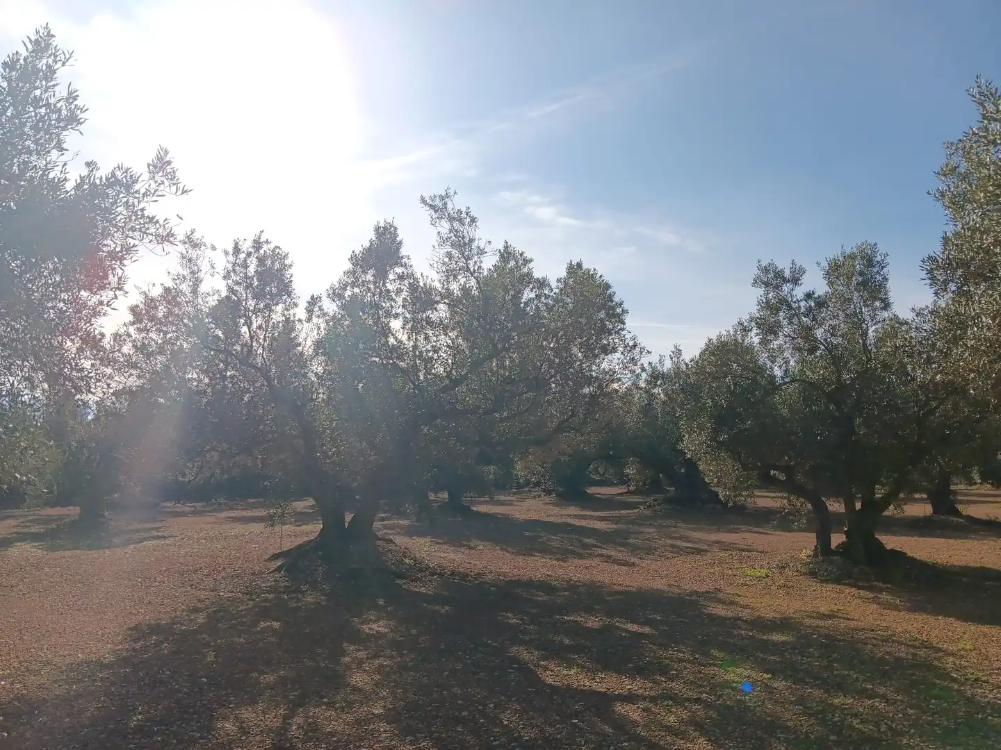Lands and plots for sale in Roquetes, imagen 9