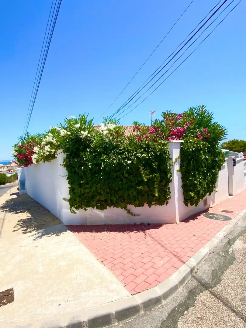 Exterior view of Houses for rent in Torrevieja  with Air Conditioner, Terrace and Furnished