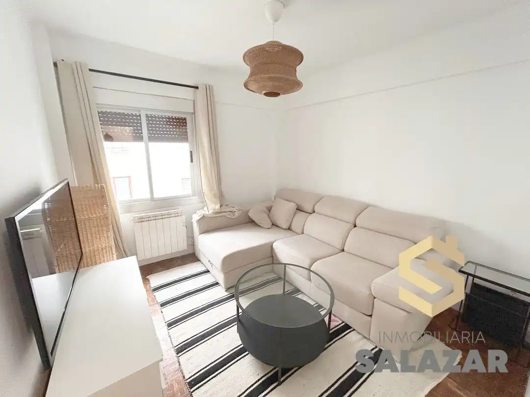 Flat for rent in Bonaparte Luis Luciano Kalea, Santutxu - Basarrate