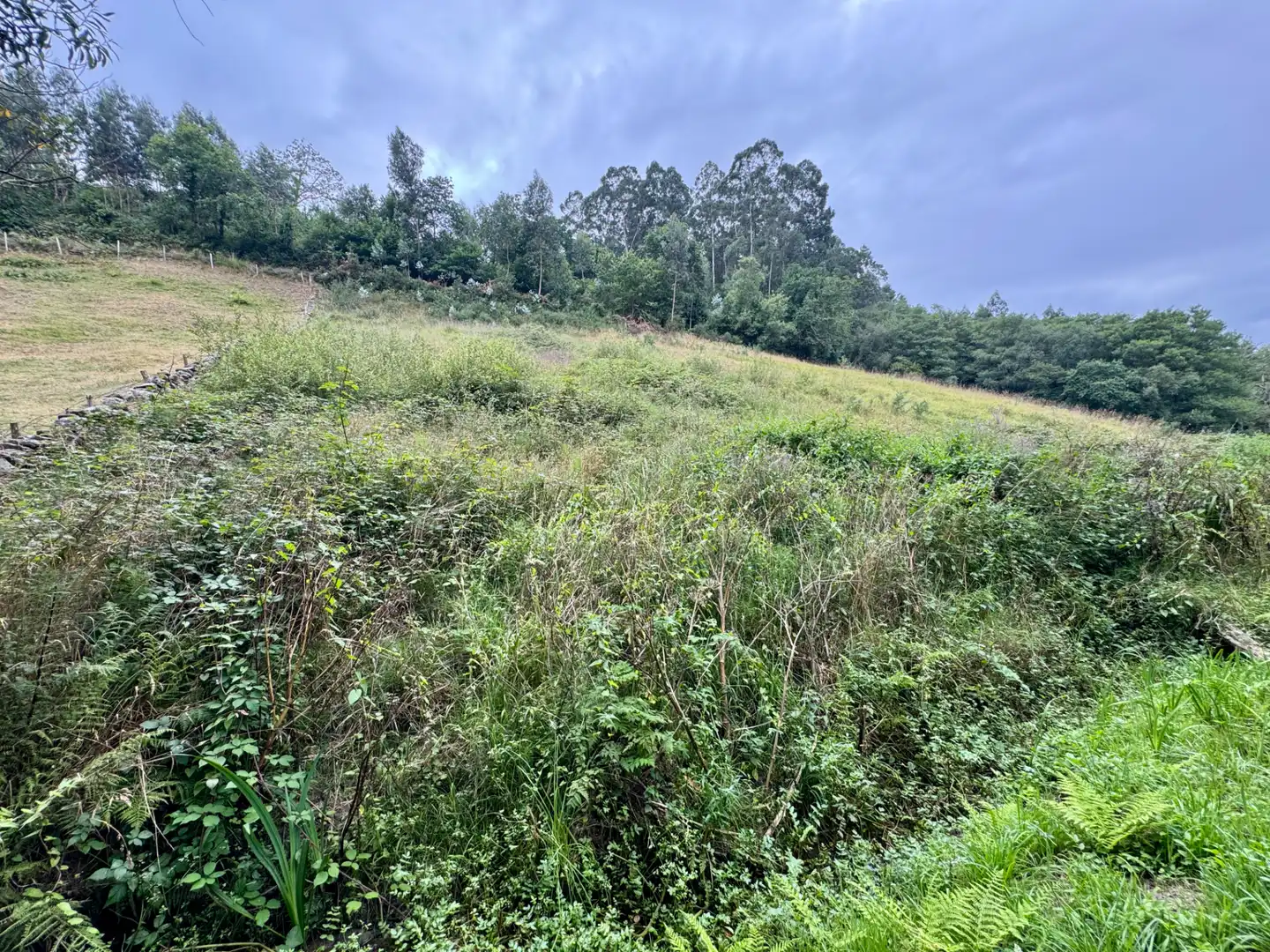 Terreno en venta en Villaviciosa