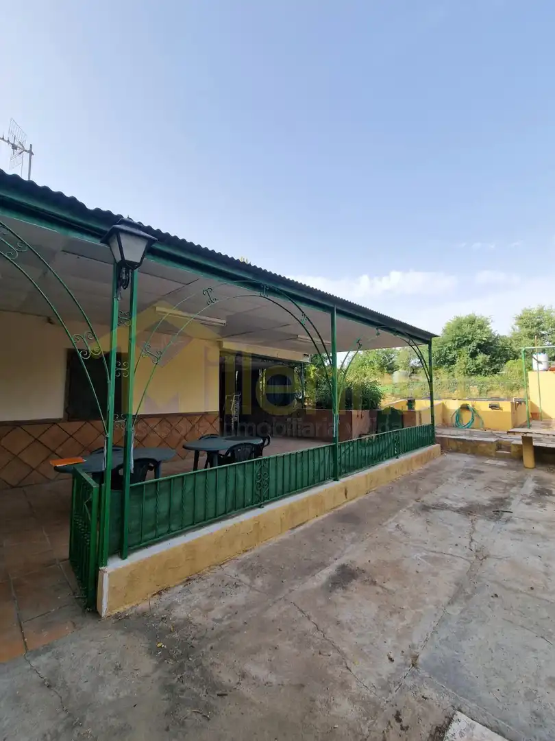 Terreni e lotti in vendita a Carmona, imagen 3