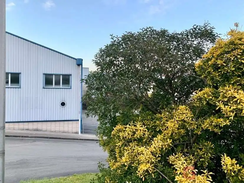 Industrial building for sale in ASTEASUKO INDUSTRIALDEA, imagen 3