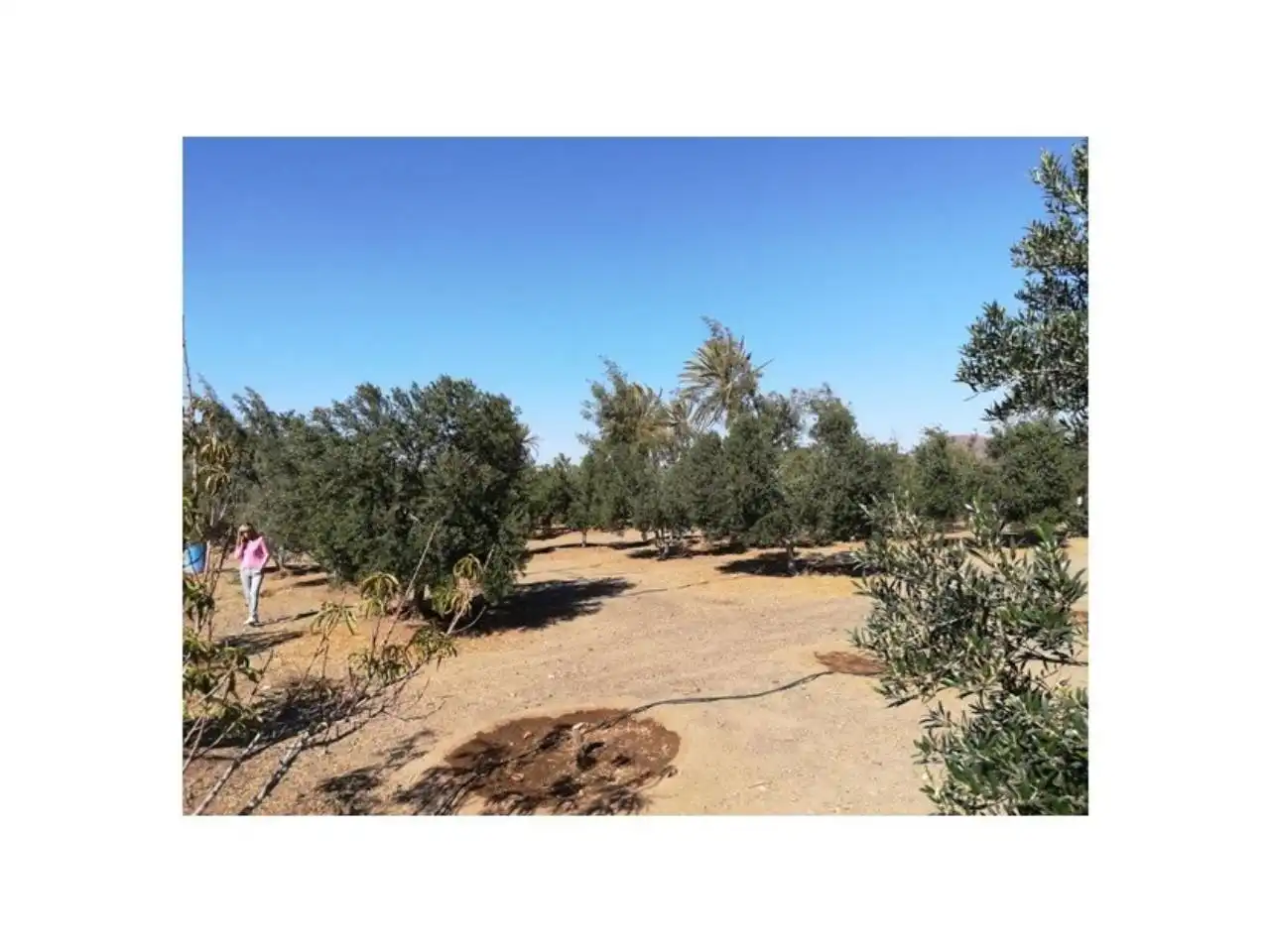 Houses for sale in Gran Tarajal, Tesejerague