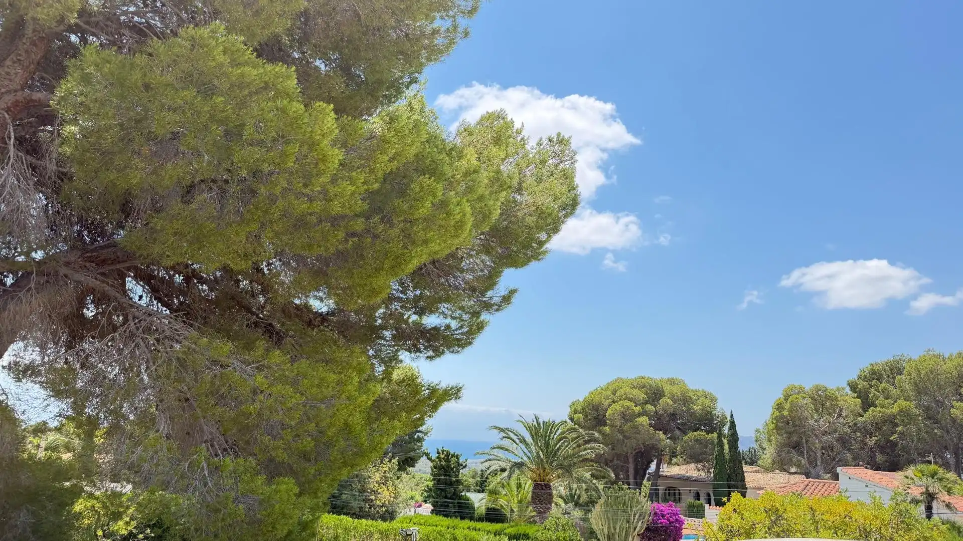 Maison rustique avec piscine à vendre à Altea la Vella, imagen 32