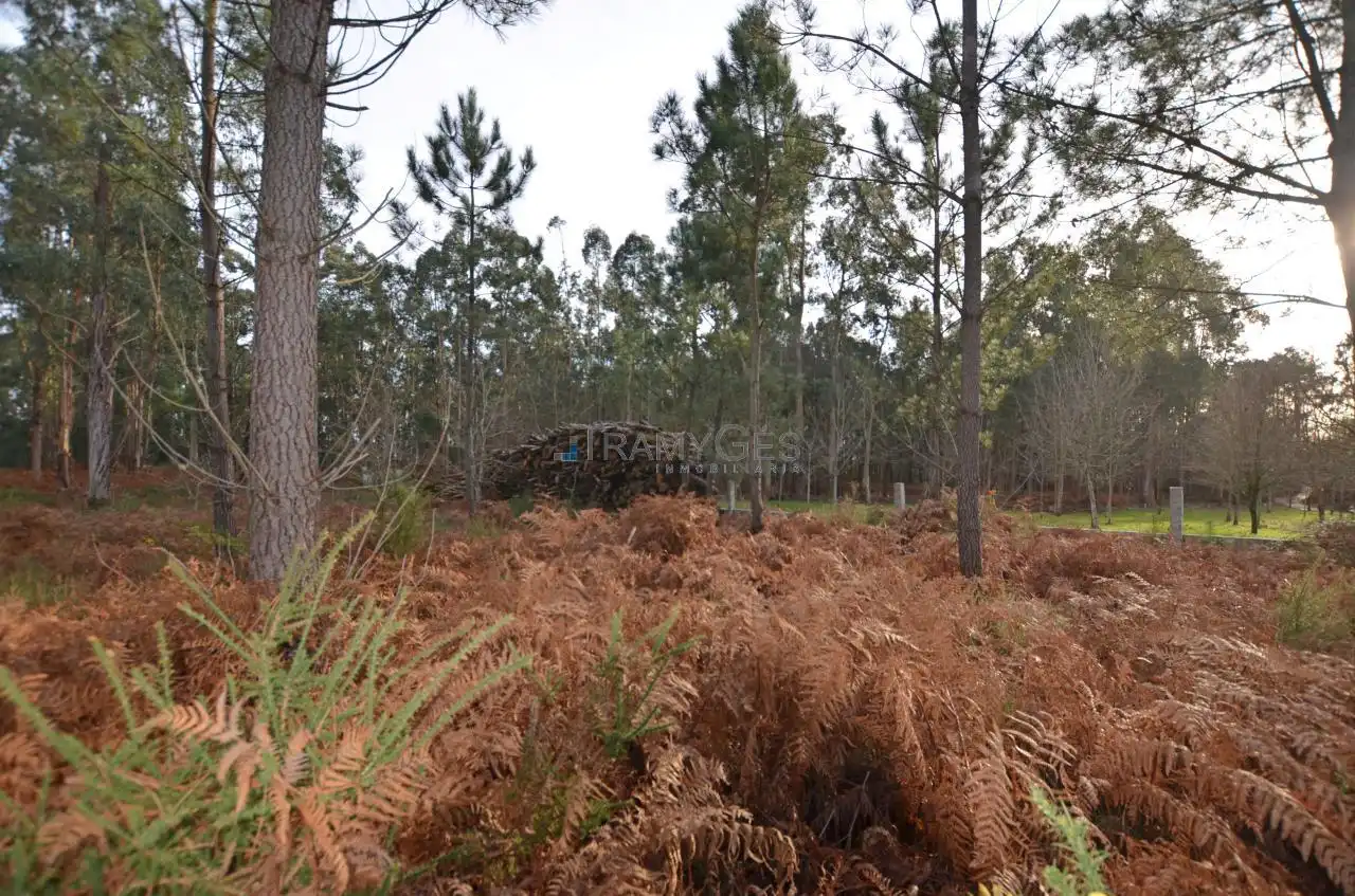 Residential land for sale in LUGAR O MONTE, imagen 25