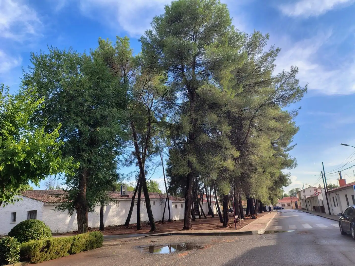 Adossat en venda a Alcázar de San Juan, imagen 31