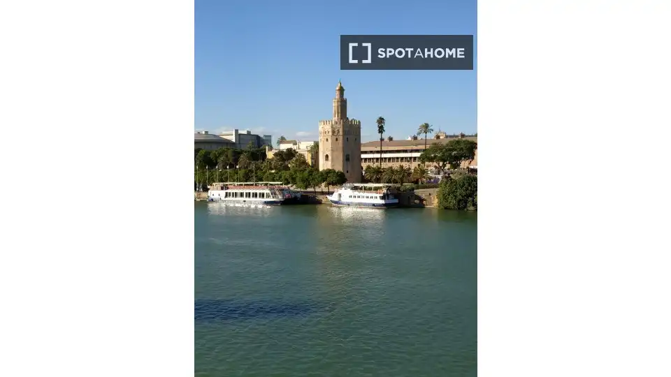 Exterior view of Study for share in Sevilla  with Air Conditioner, Terrace and Furnished