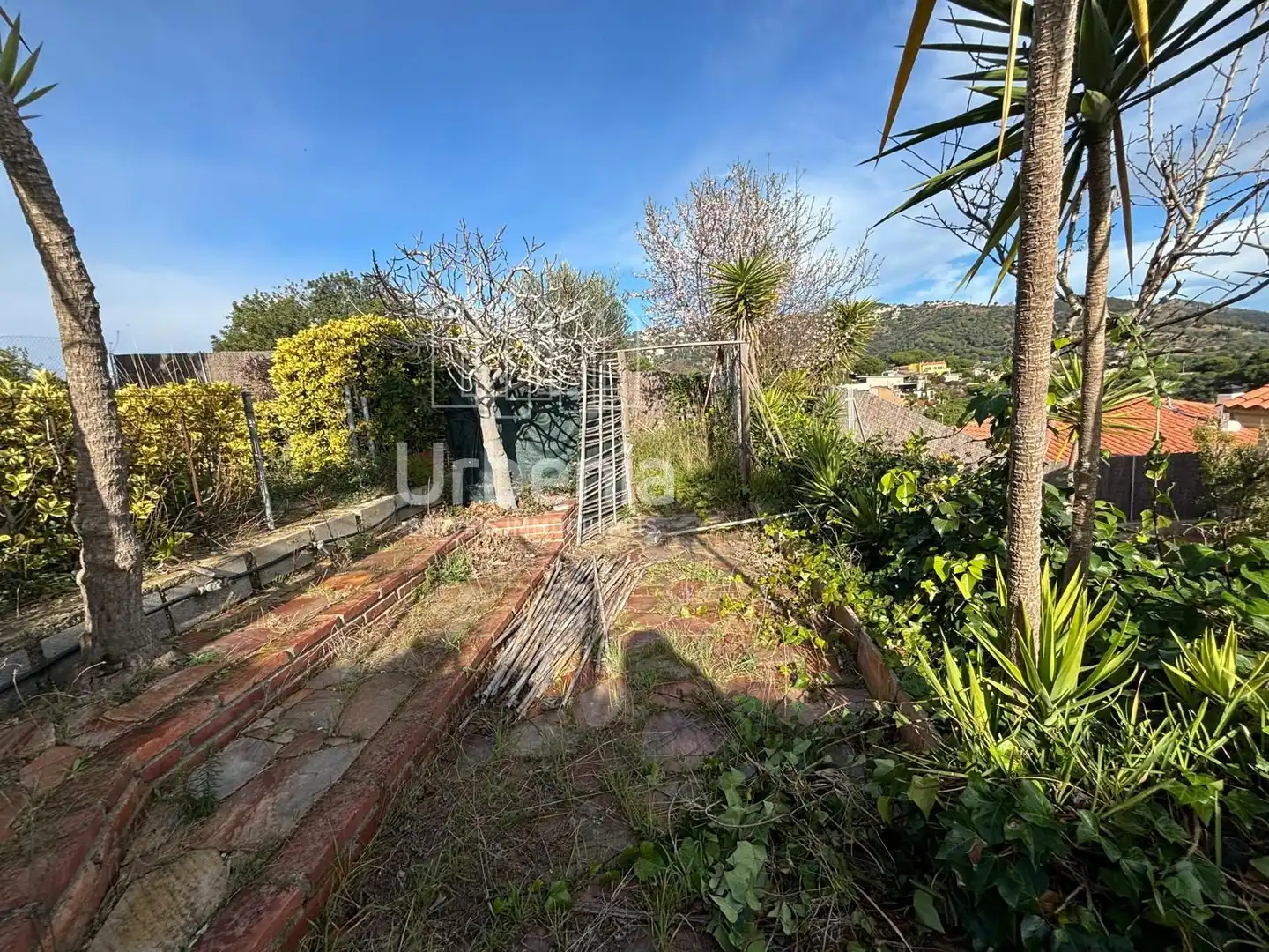 Jardí de Casa o xalet en venda en Calella amb Calefacció i Piscina