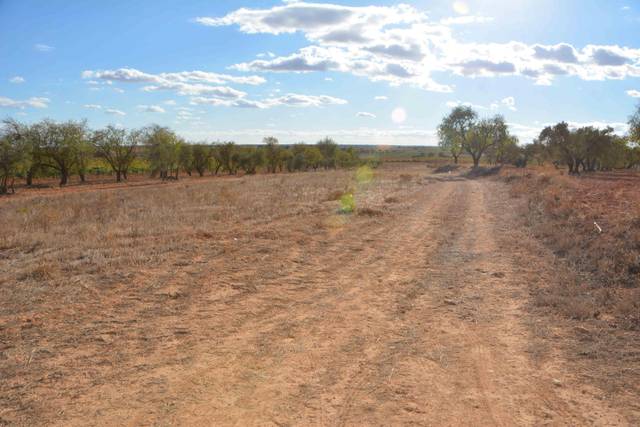 Terreno en Venta en PR SENDA DE CUENCA en Iniesta