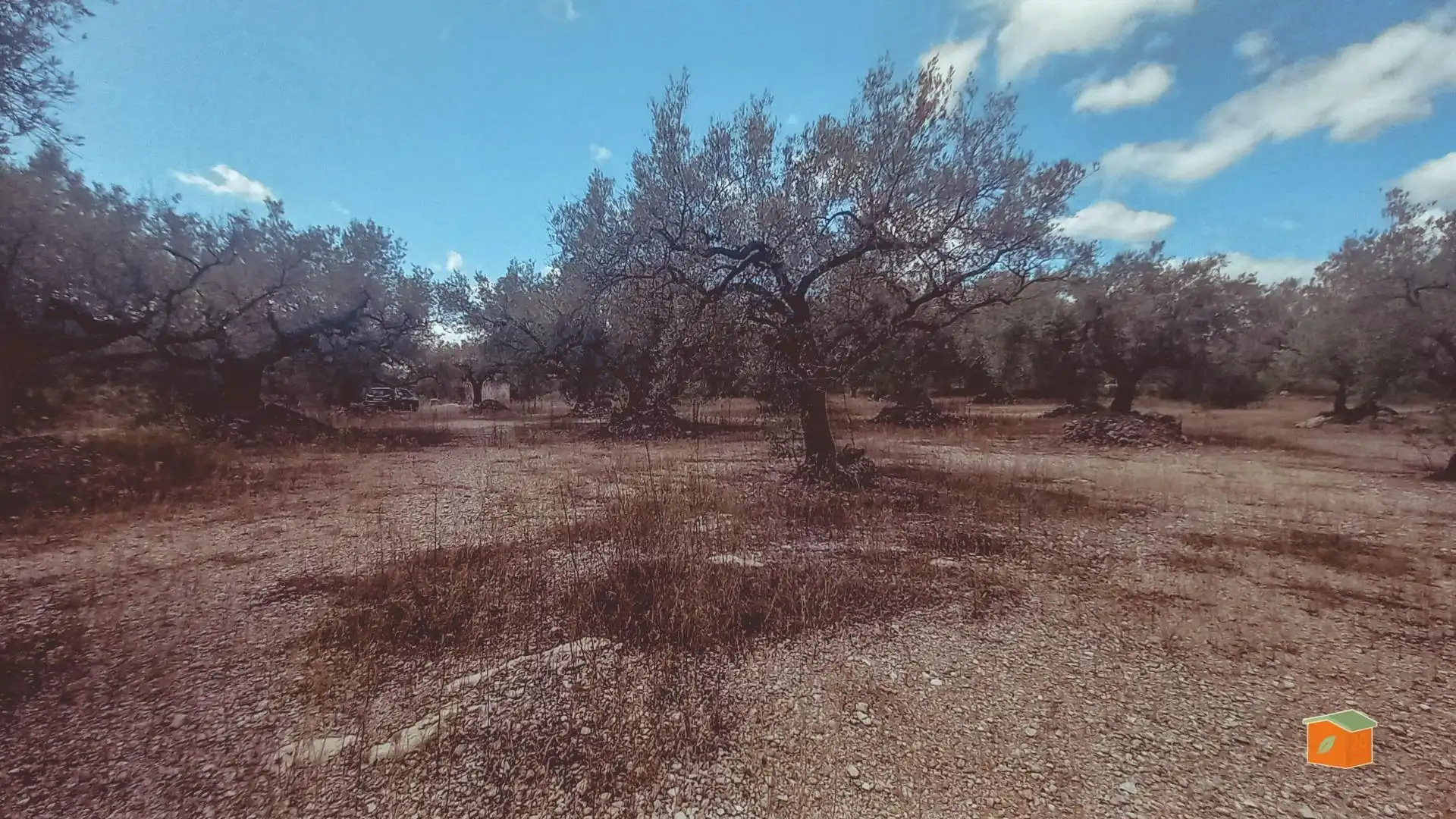 Maison rustique à vendre à Ulldecona, imagen 16