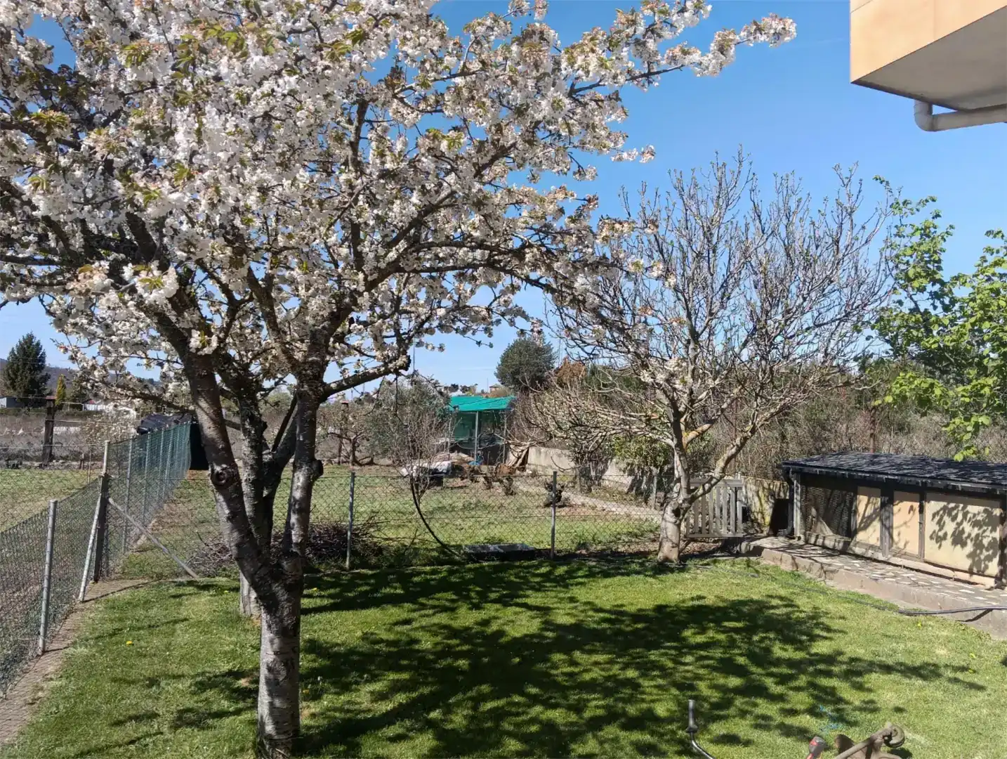 Jardín de Casa o chalet en venta en Torre del Bierzo, León